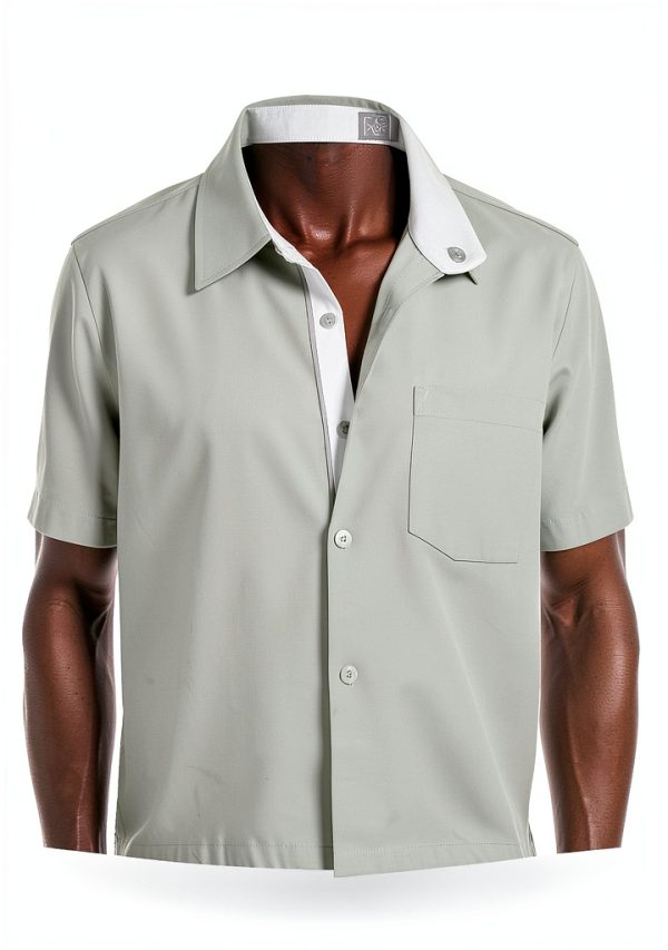 Mens Silk Button Down Shirt Premium Fabric Multiple Colors-2